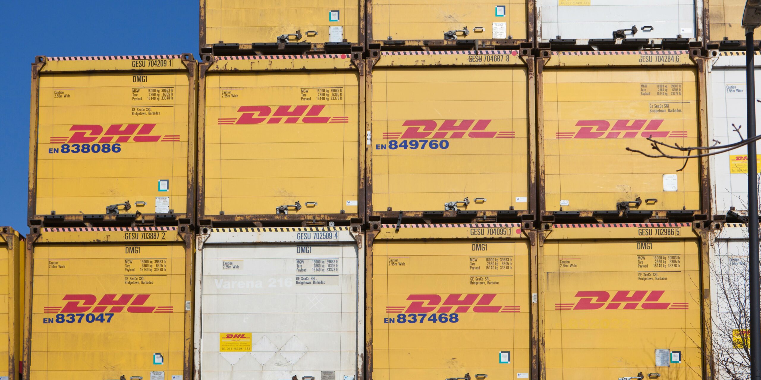 DHL Exception Meaning And How To Respond Print Bind Ship